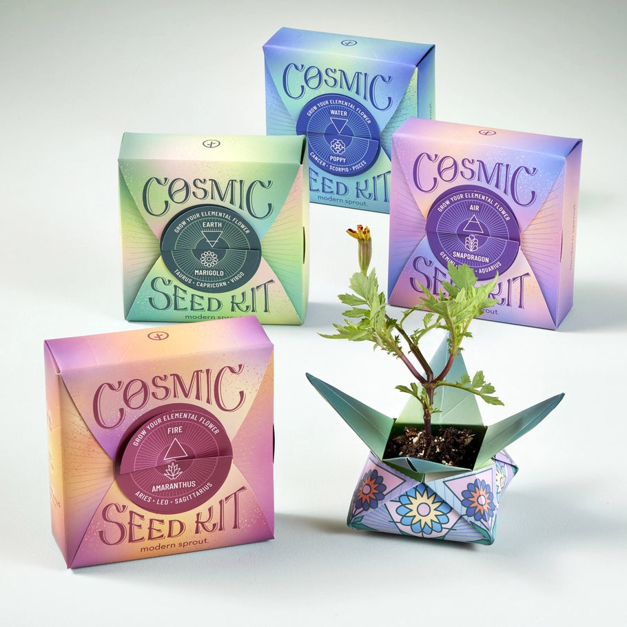 Cosmic Seed Kit - Water Icelandic Poppy