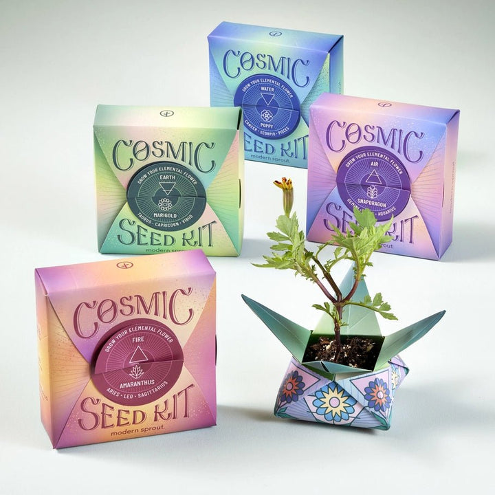 plant - Cosmic Seed Kit - Air Snapdragon - The Lavish Essentials