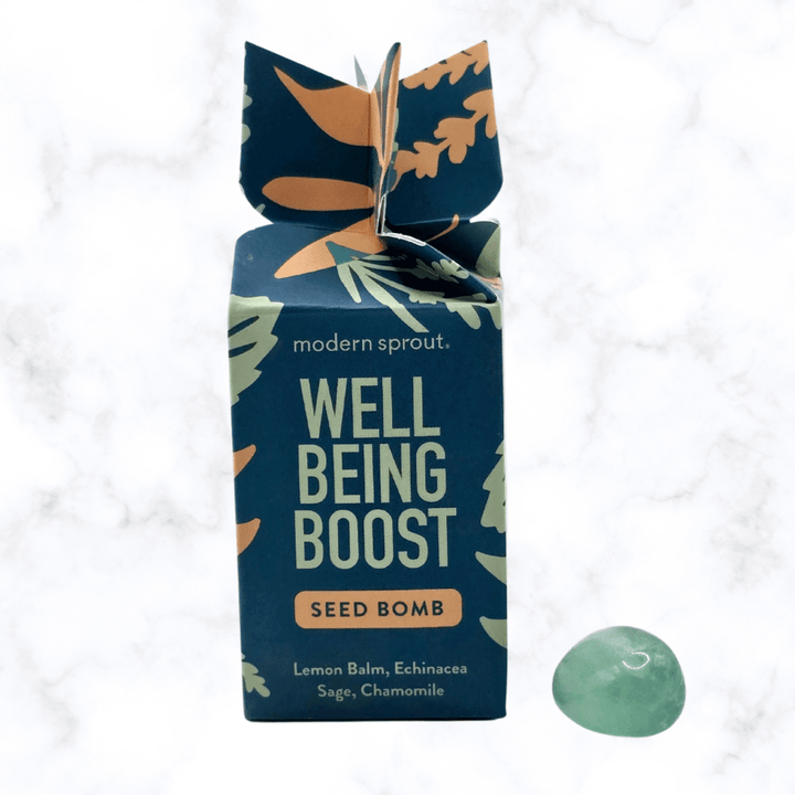 plant - Seed Bomb - Wellbeing - The Lavish Essentials